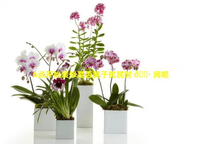 6点开始装修是否属于扰民时 🌷 间呢